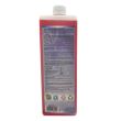 Detailing Geek Premium Degreaser 1L - Solutie de degresare a suprafetelor foarte concentrata
