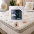 Cleaver Clean Enzyme Prespray PRO 5kg - Solutie de prespalare enzimatica profesionala pentru textile