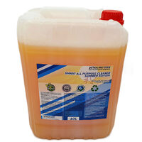 Detailing Geek SMART All Purpose Cleaner 10L - Solutie cu PH neutru de curatare pentru suprafetele interioare foarte concentrata