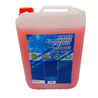 Detailing Geek SMART All Purpose Cleaner 10L - Solutie cu PH neutru de curatare pentru suprafetele interioare foarte concentrata 